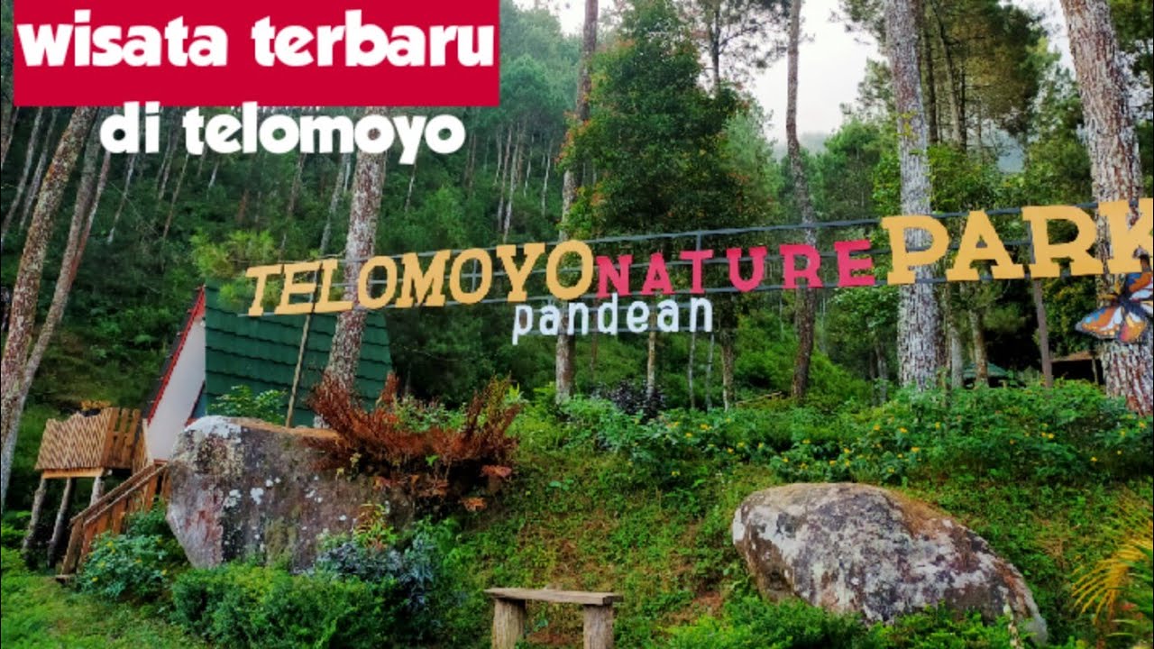 Telomoyo Nature Park: Surga Alam di Lereng Merapi